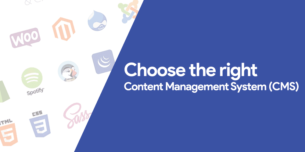 Choosing the Right CMS: What You Need to Know Before You Decide