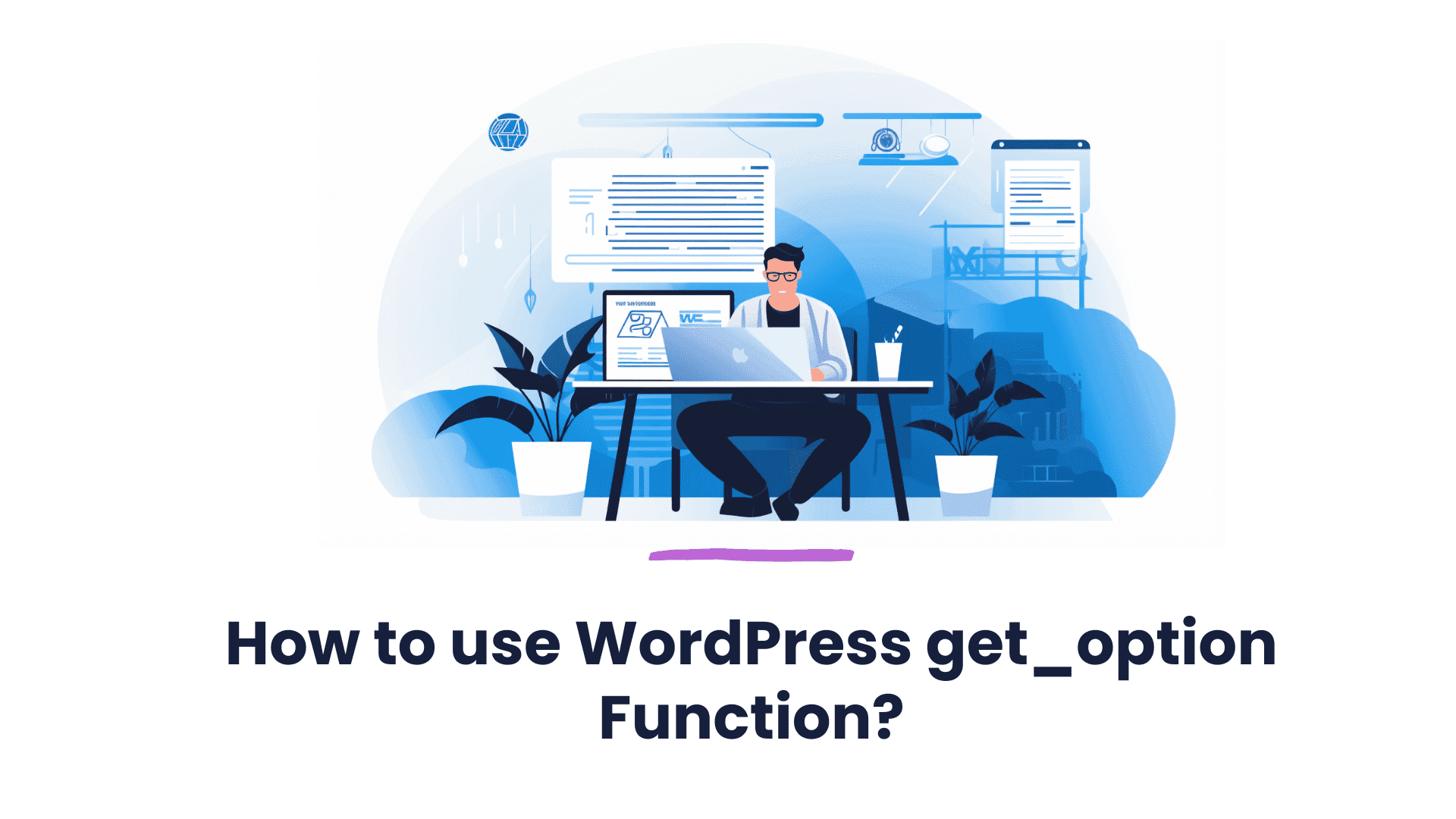 How to use WordPress get_option Function?