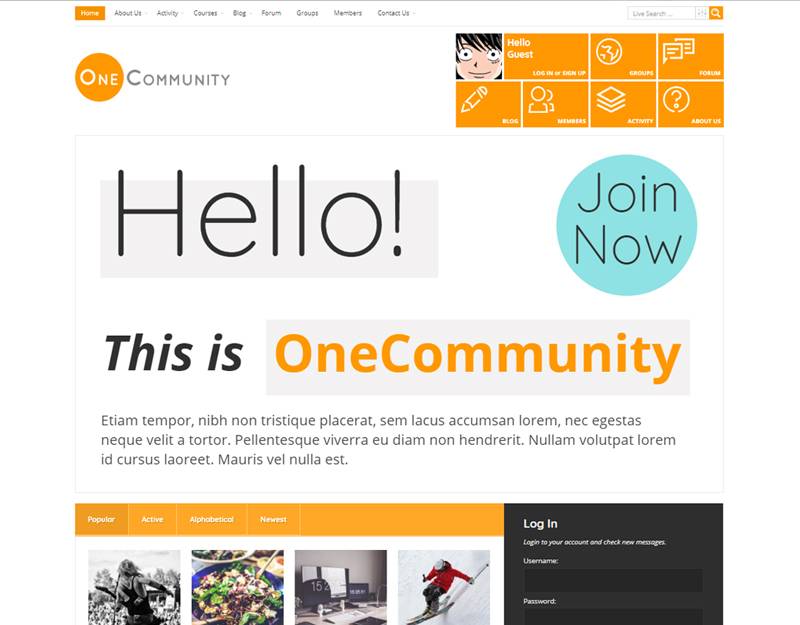OneCommunity - BuddyPress Community e-Learning LMS Theme
