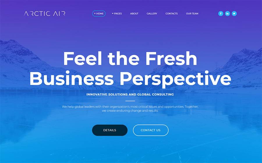 Arctic - Business Startup Moto CMS 3 Template