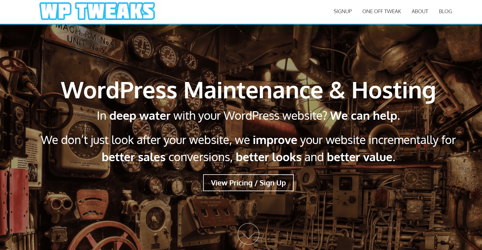 wordpress maintenance service providers