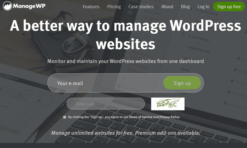 WordPress Website Management Tools